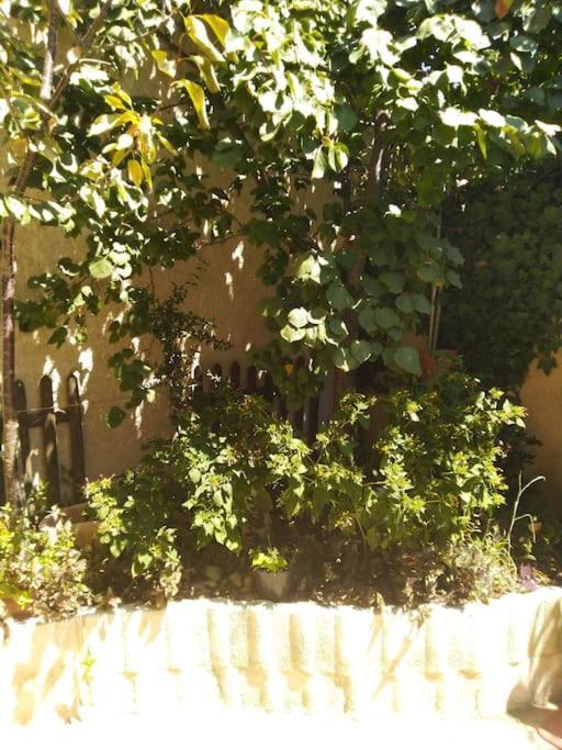 Studio Ideal Pour Deux Voyageurs Sur Marseille Exterior photo